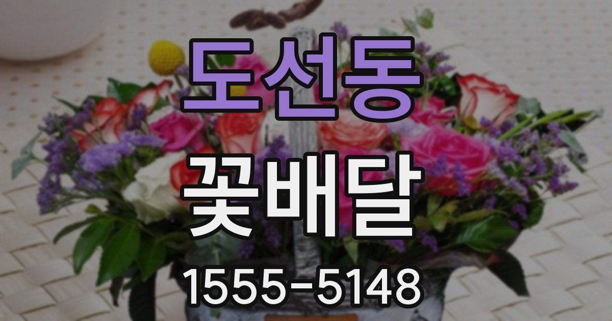 도선동 꽃배달
