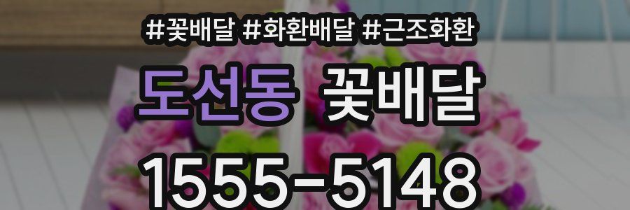 도선동 꽃배달