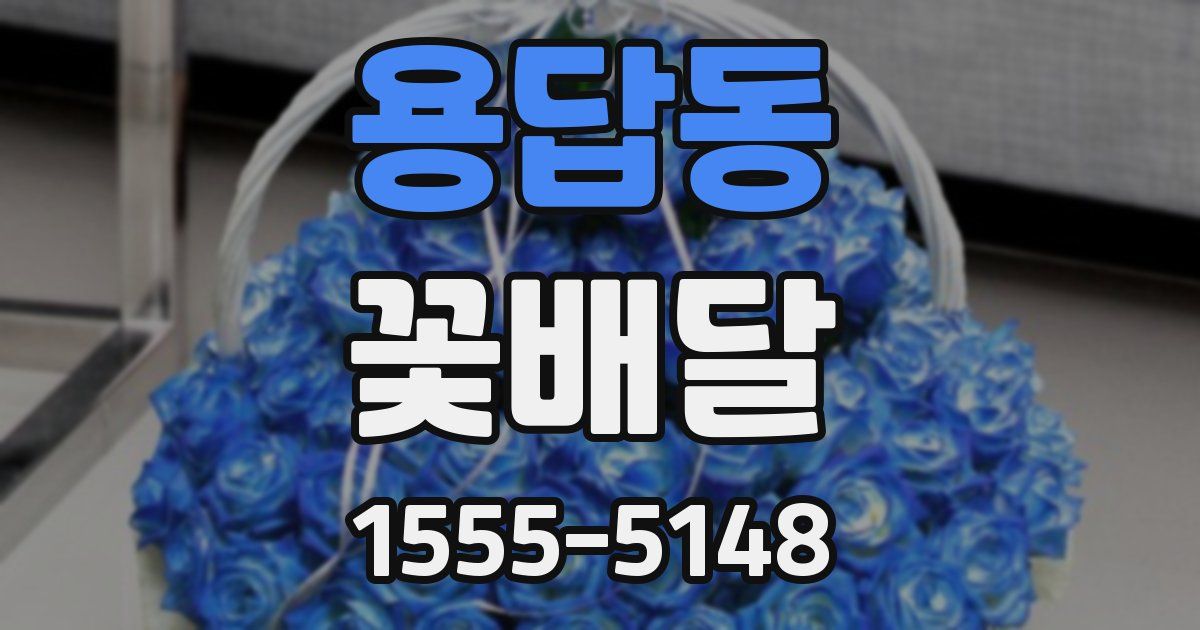 용답동 꽃배달