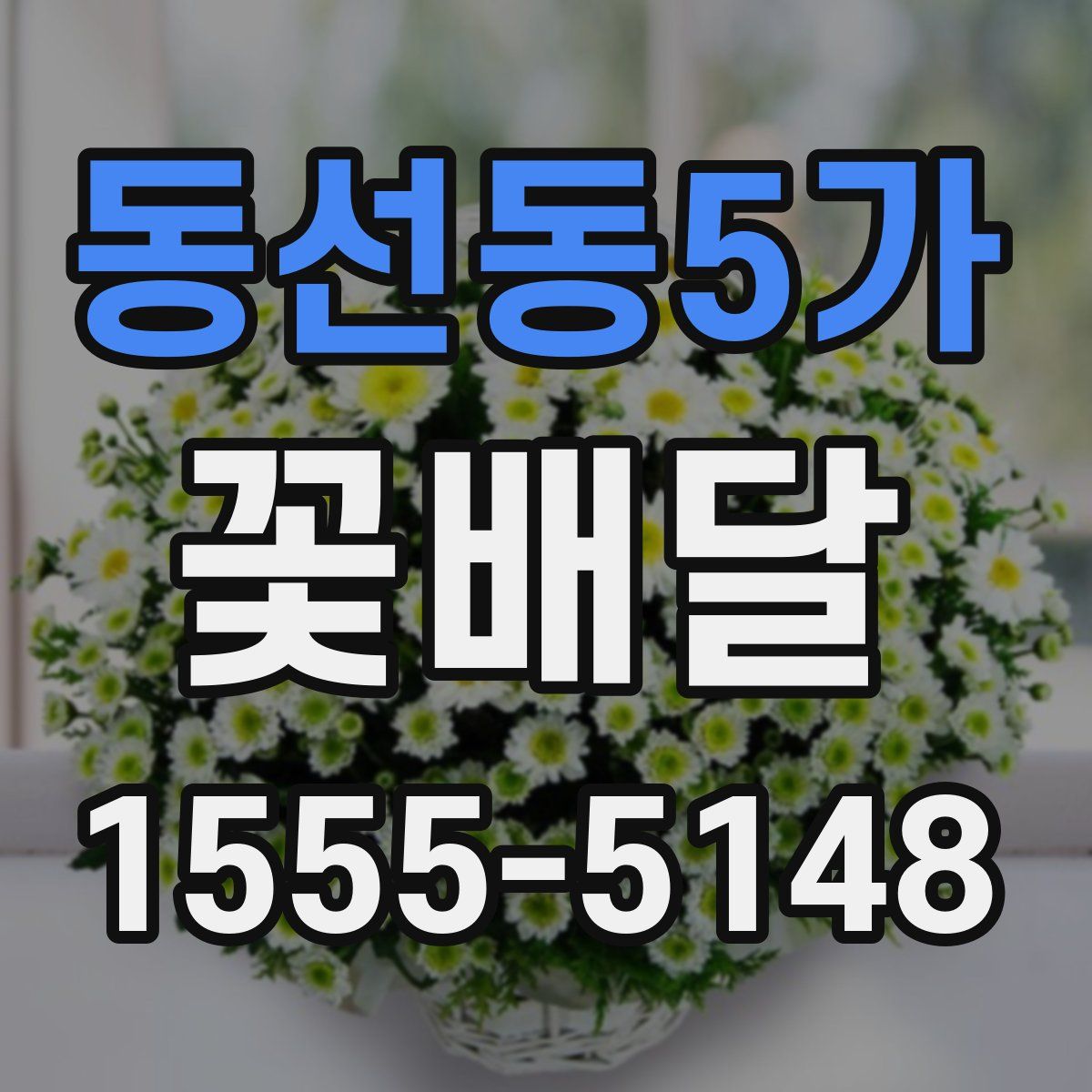 동선동5가 꽃배달