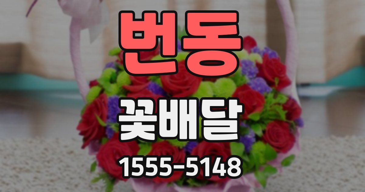 번동 꽃배달