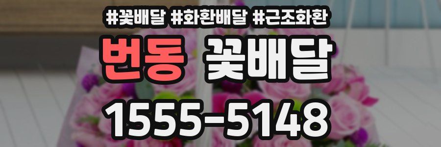 번동 꽃배달