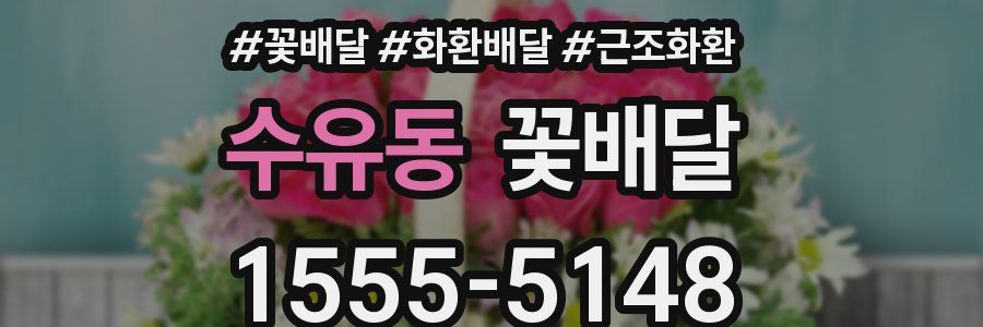 수유동 꽃배달