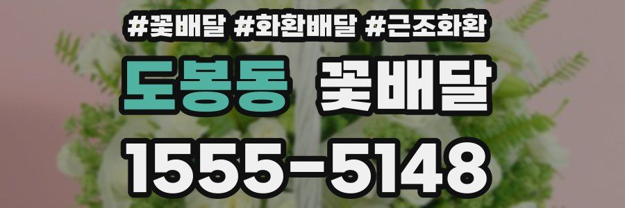도봉동 꽃배달
