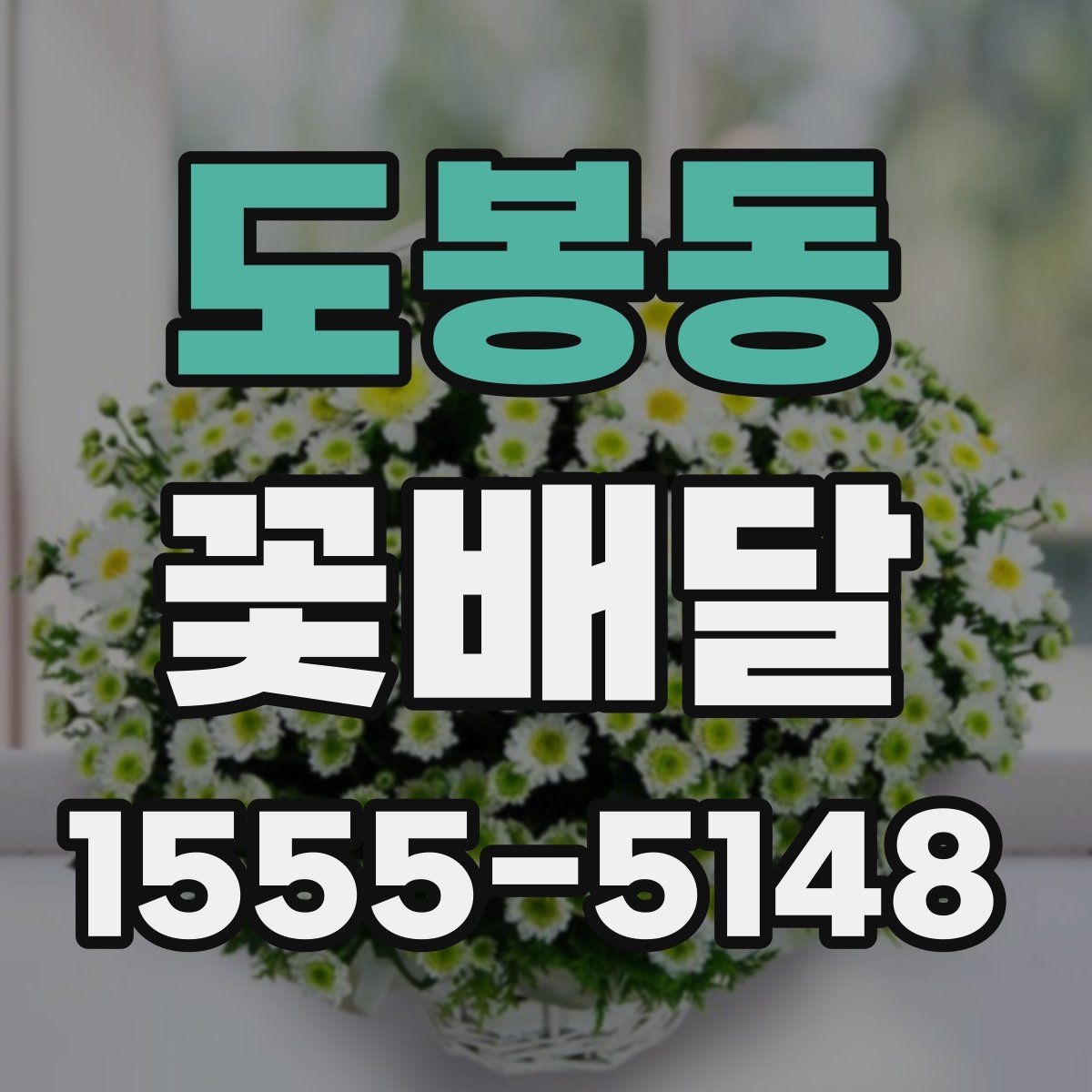 도봉동 꽃배달