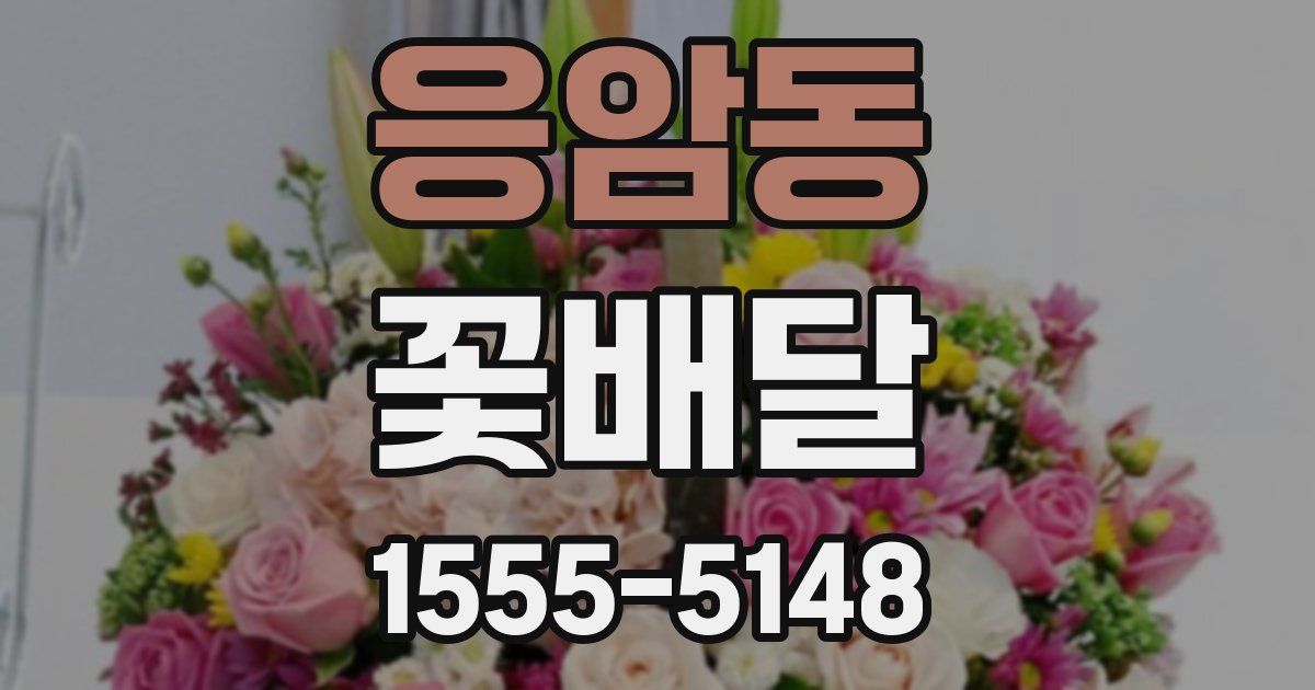 응암동 꽃배달