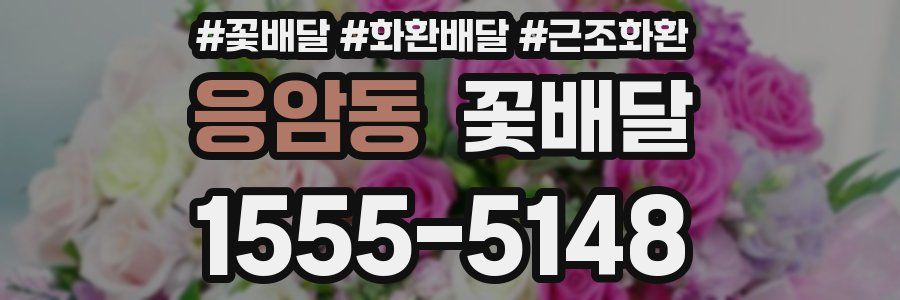 응암동 꽃배달