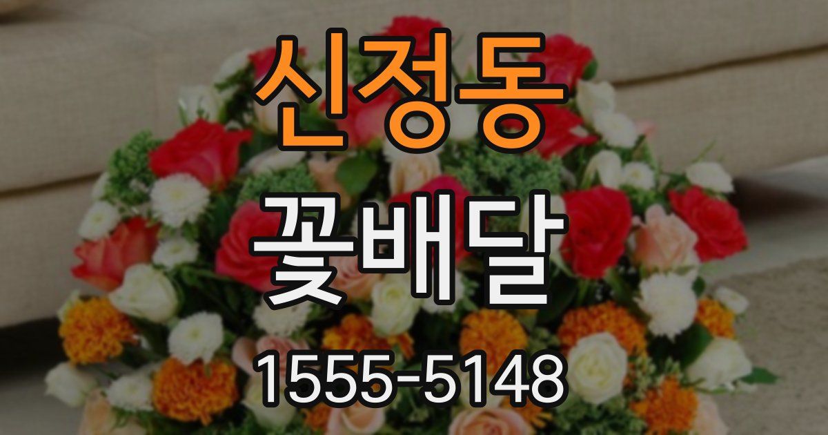 신정동 꽃배달