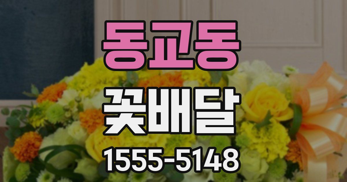 동교동 꽃배달