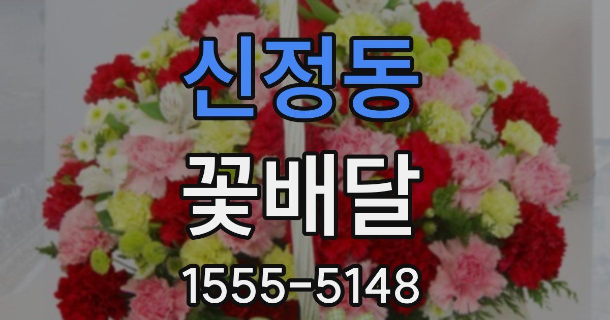 신정동 꽃배달