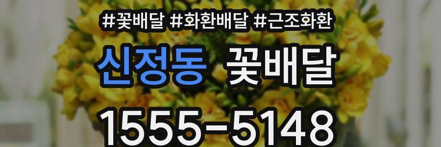 신정동 꽃배달