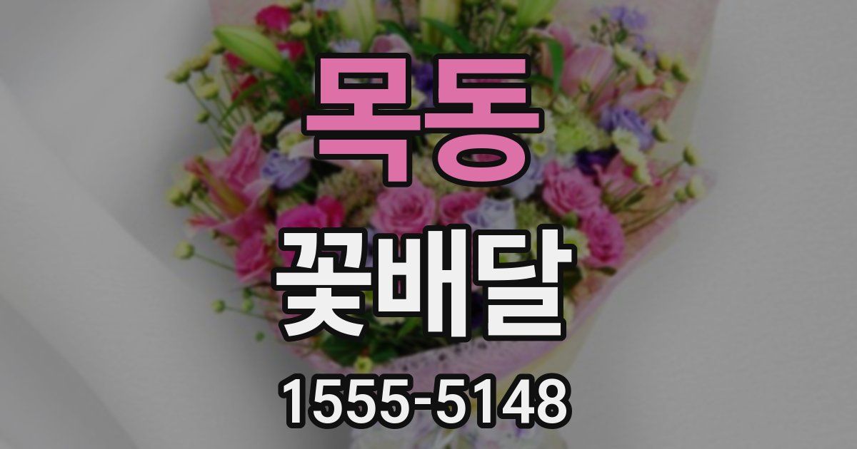 목동 꽃배달