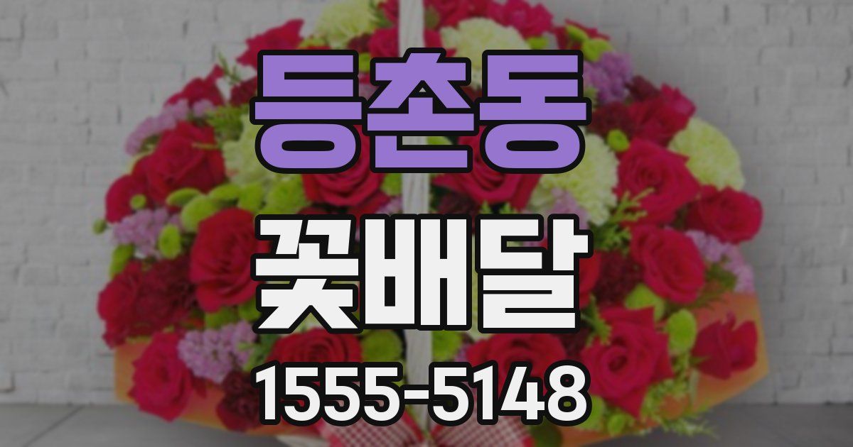 등촌동 꽃배달