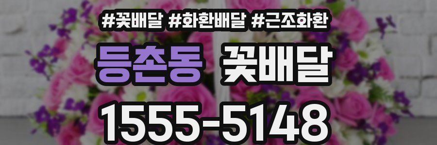 등촌동 꽃배달
