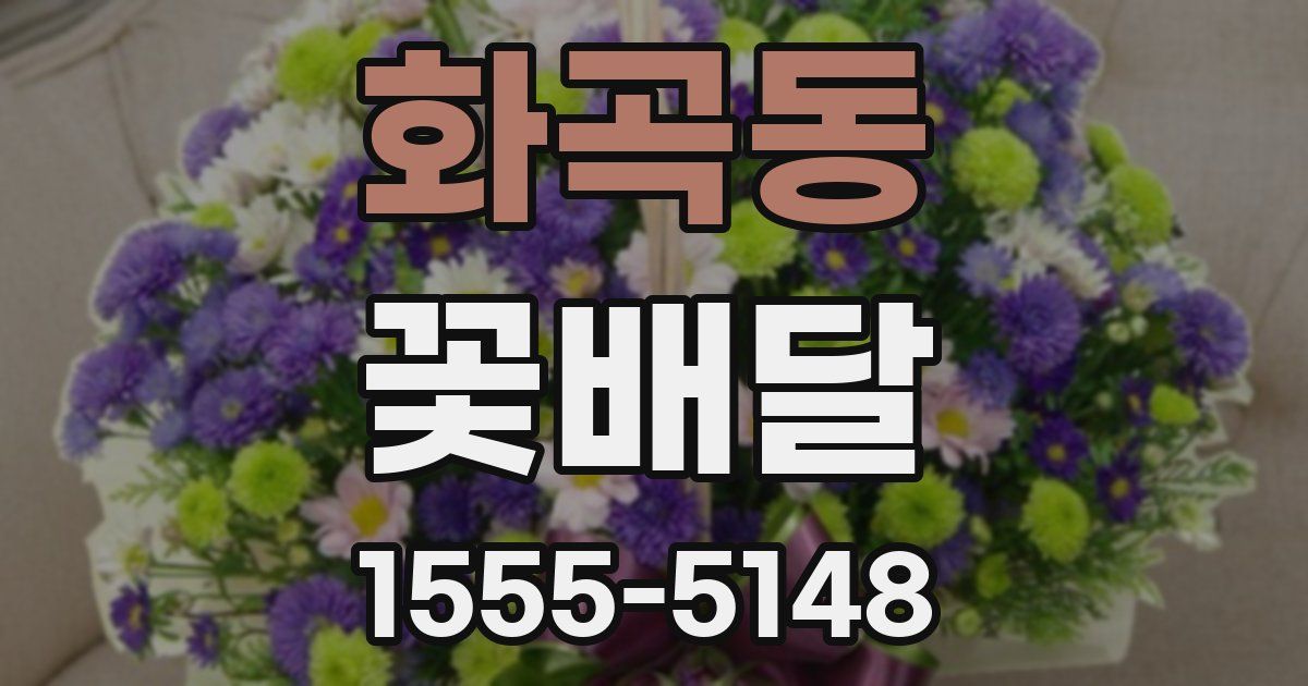 화곡동 꽃배달