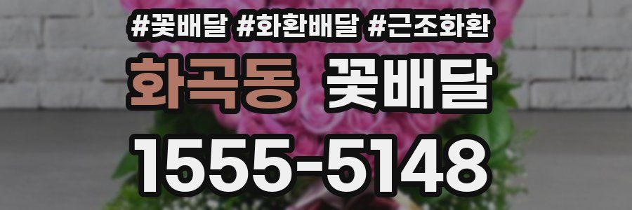 화곡동 꽃배달