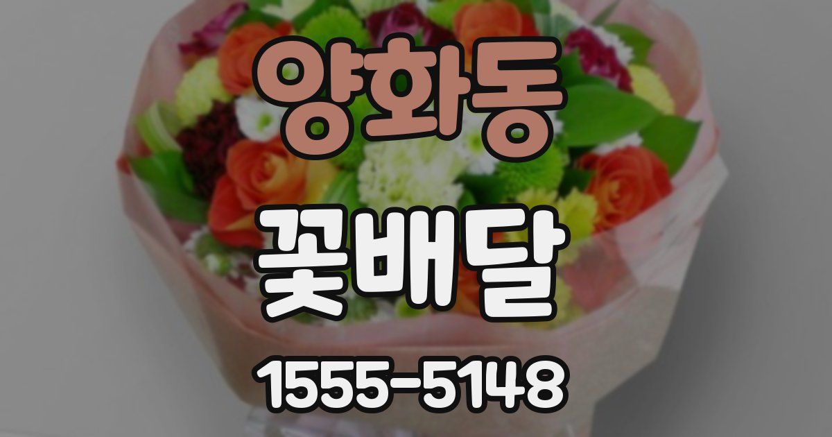 양화동 꽃배달