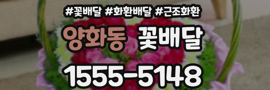양화동 꽃배달