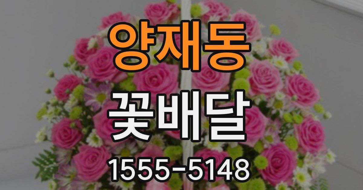 양재동 꽃배달