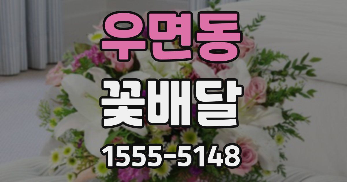 우면동 꽃배달