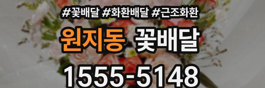 원지동 꽃배달
