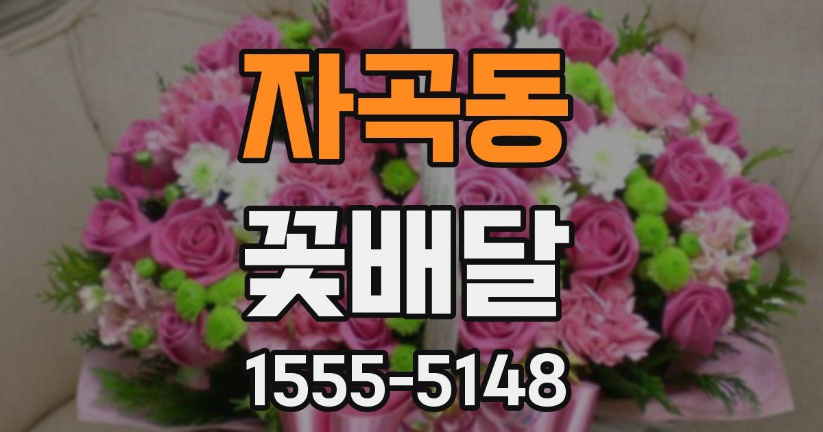자곡동 꽃배달