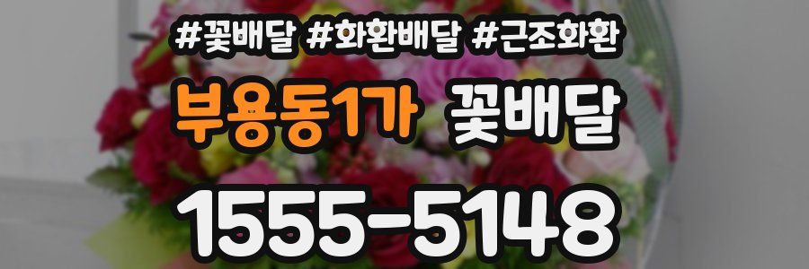 부용동1가 꽃배달