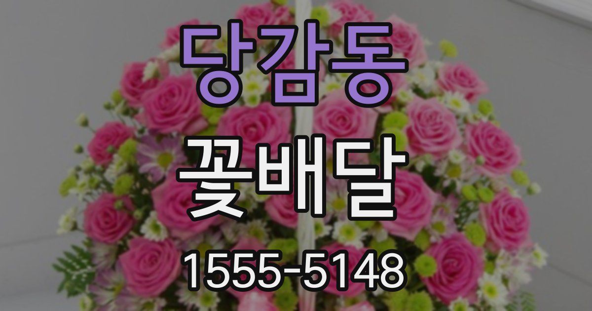 당감동 꽃배달