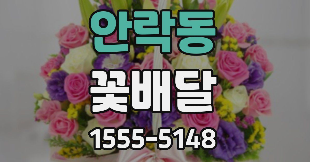 안락동 꽃배달