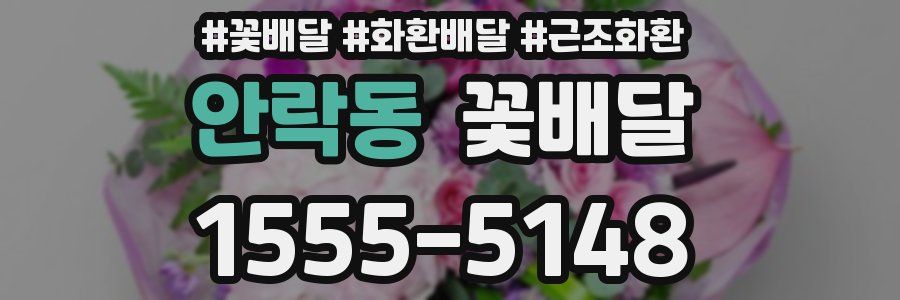 안락동 꽃배달