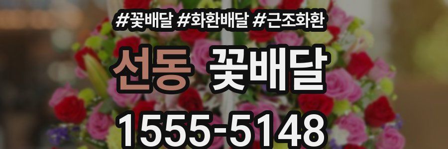 선동 꽃배달