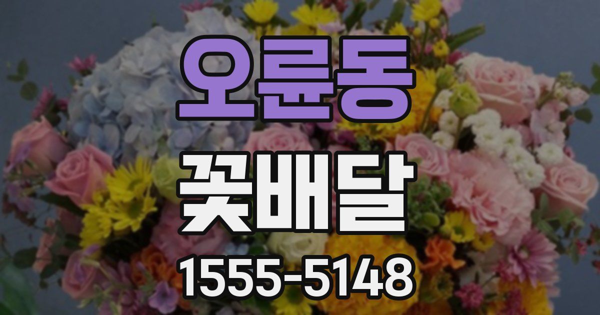 오륜동 꽃배달