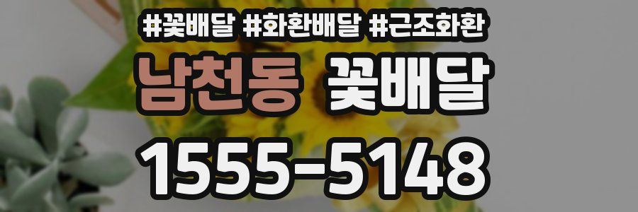 남천동 꽃배달