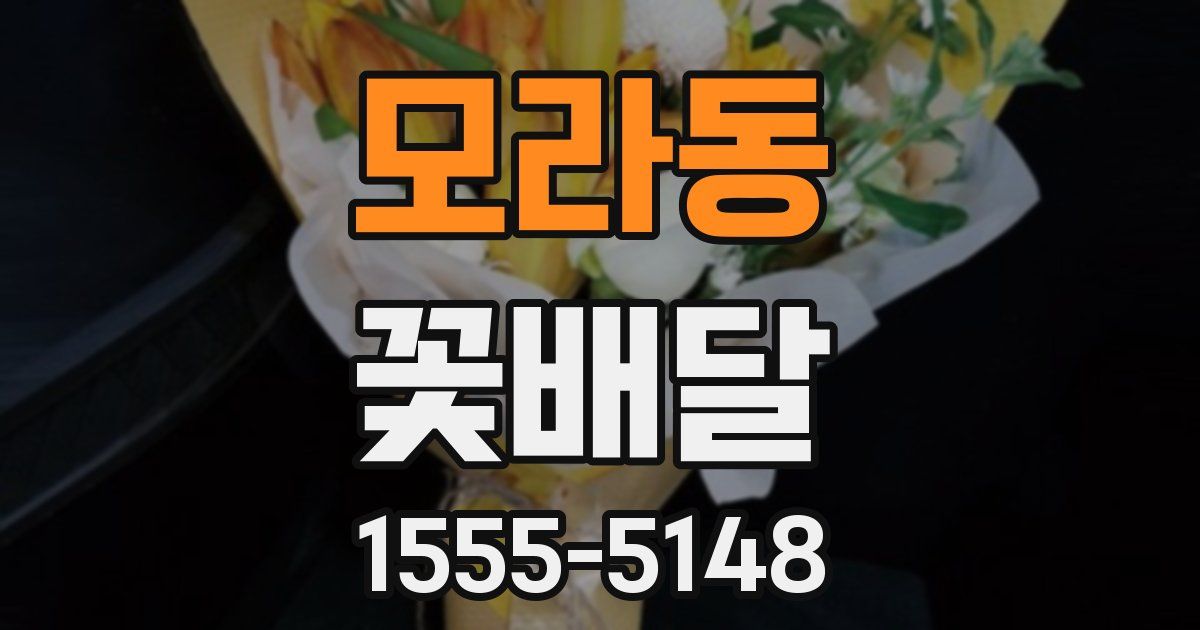 모라동 꽃배달
