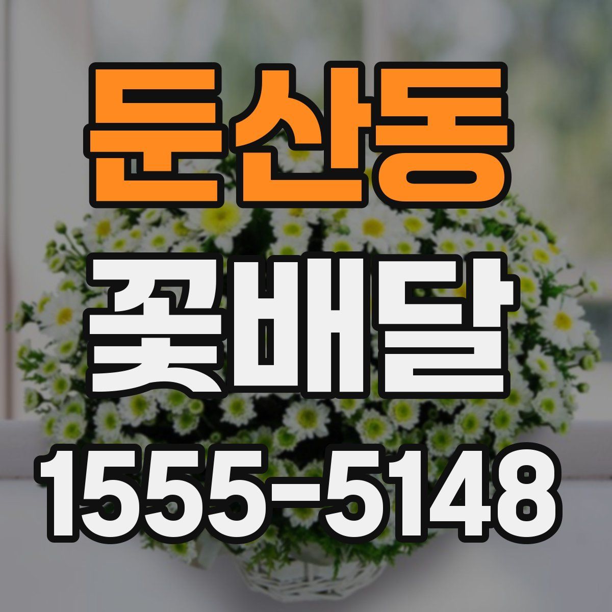 둔산동 꽃배달
