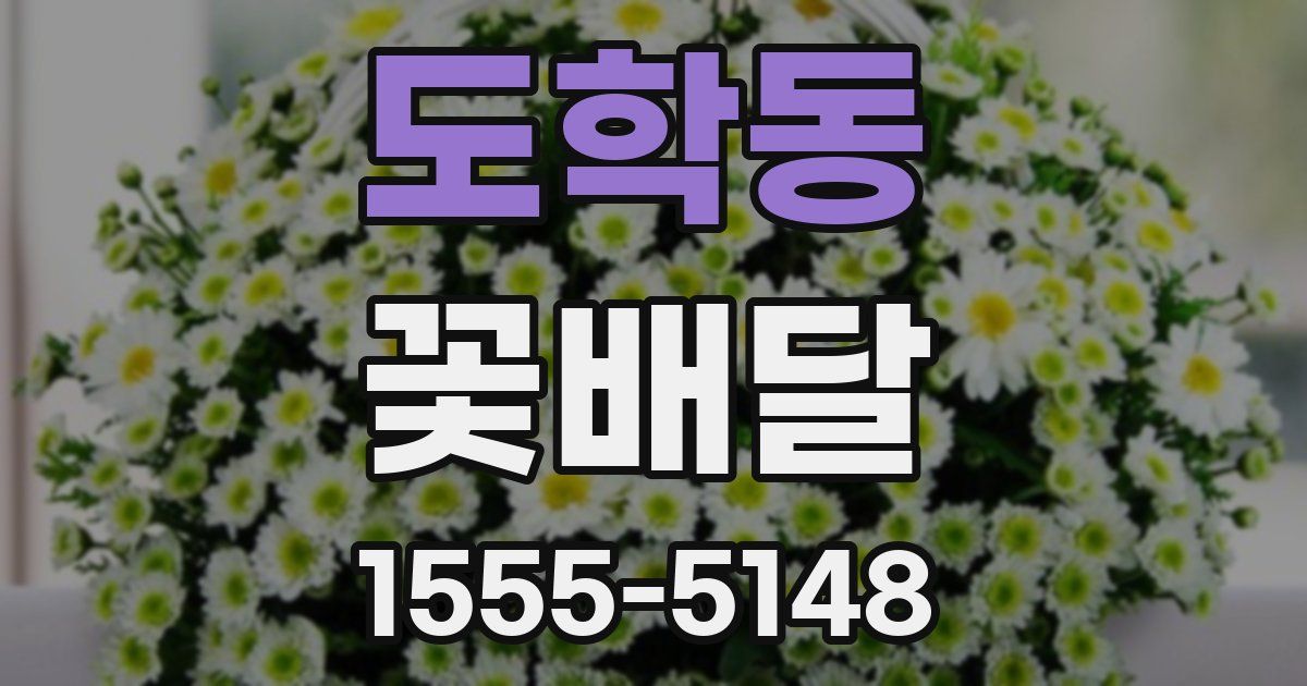 도학동 꽃배달