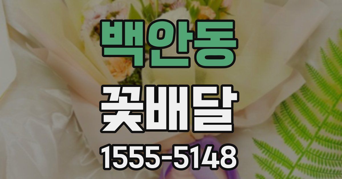 백안동 꽃배달