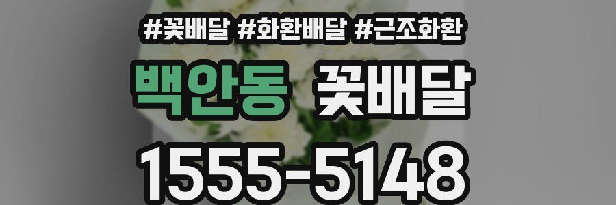 백안동 꽃배달