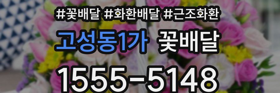 고성동1가 꽃배달