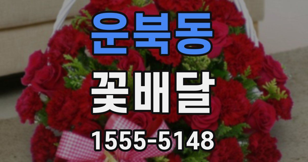 운북동 꽃배달