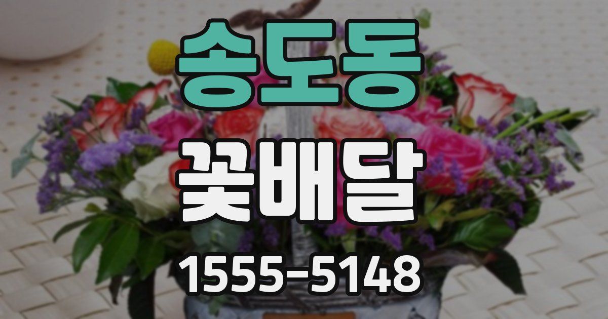 송도동 꽃배달