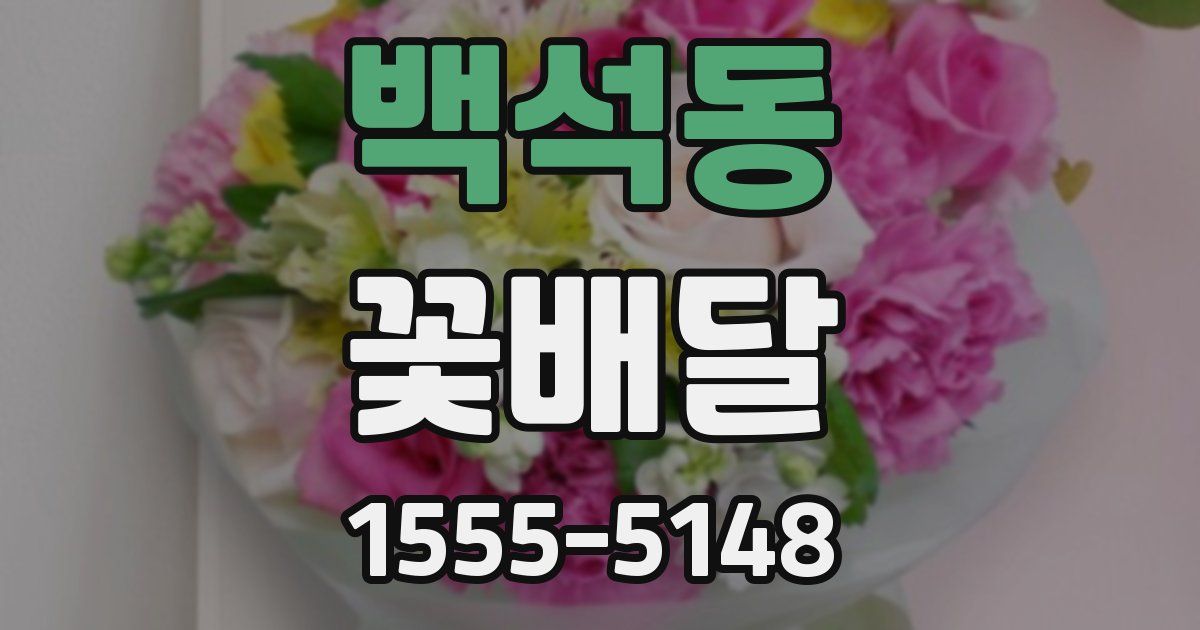 백석동 꽃배달