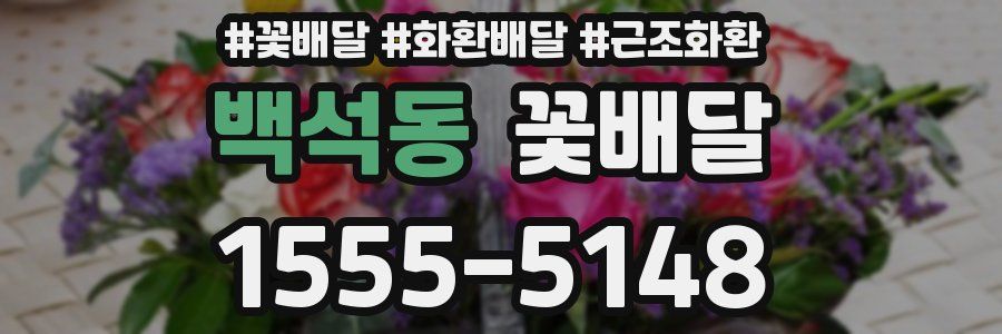 백석동 꽃배달