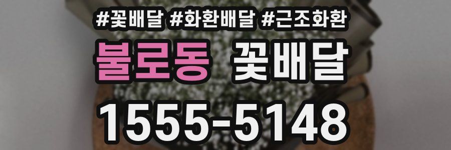 불로동 꽃배달