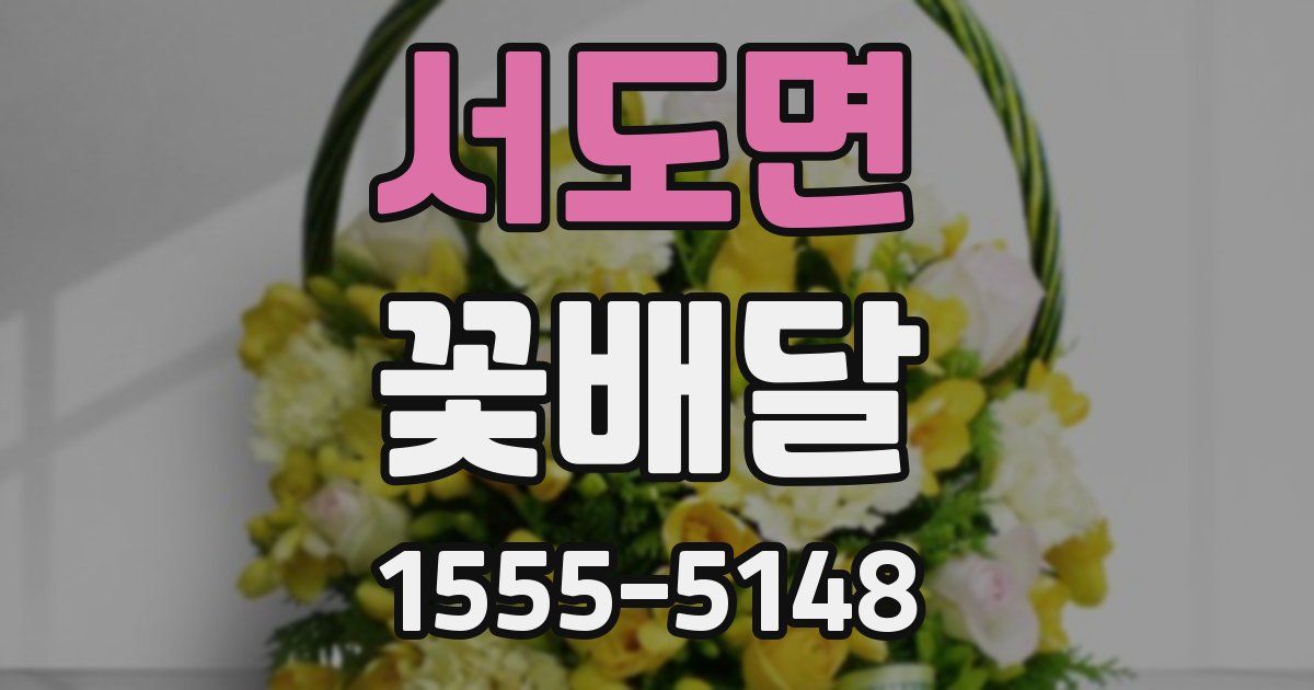 서도면 꽃배달