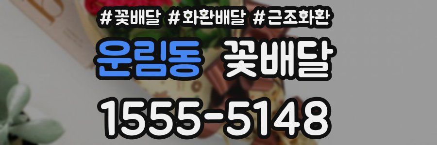 운림동 꽃배달