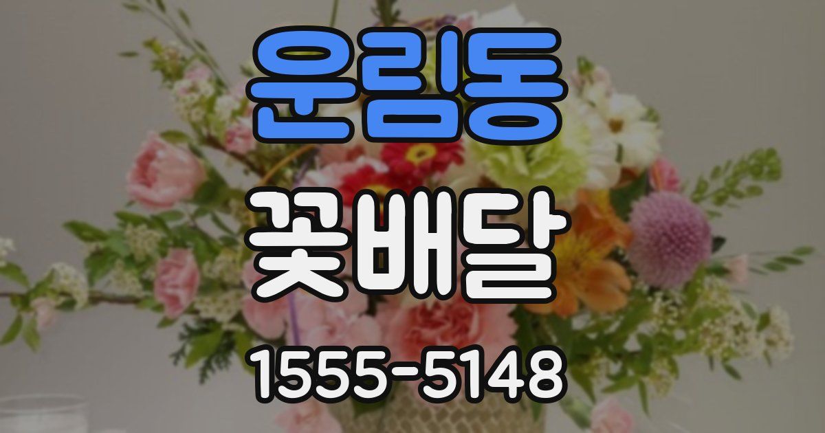 운림동 꽃배달