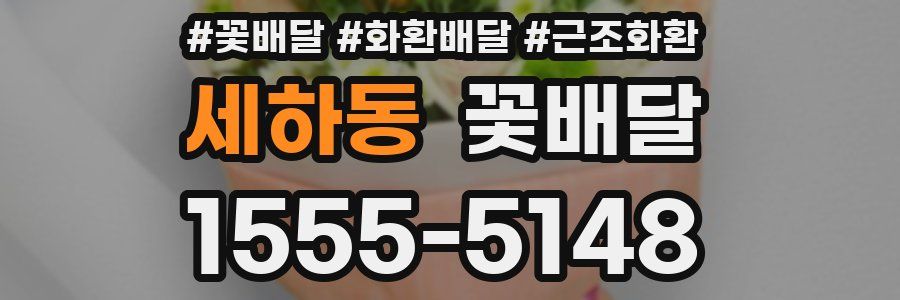 세하동 꽃배달