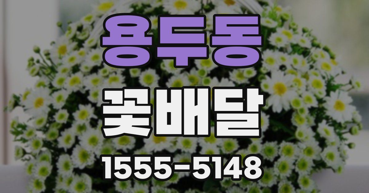 용두동 꽃배달