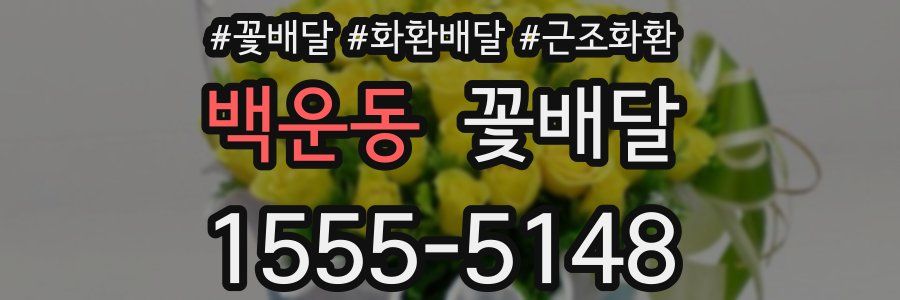 백운동 꽃배달